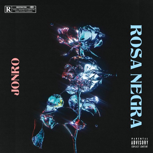 ROSA NEGRA ( BUMPING REMIX )