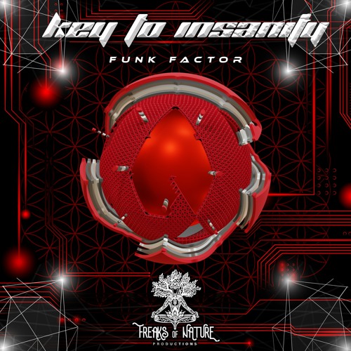 Key To Insaniity - Funk Factor [155BPM] <<<OUT SOON>>>
