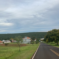 não trouxe flores