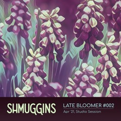 Shmuggins - Late Bloomer #002 - Apr '21, Studio Session