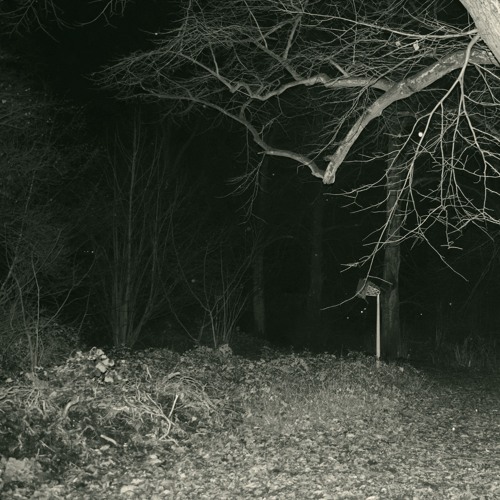TERROR MIND (prod. Skinnydrag)