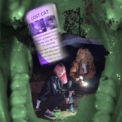 callie come home - noise pollution