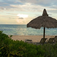 One Night At The Beach