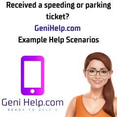 Received a speeding or parking ticket?  - GeniHelp.com Example Help Scenario