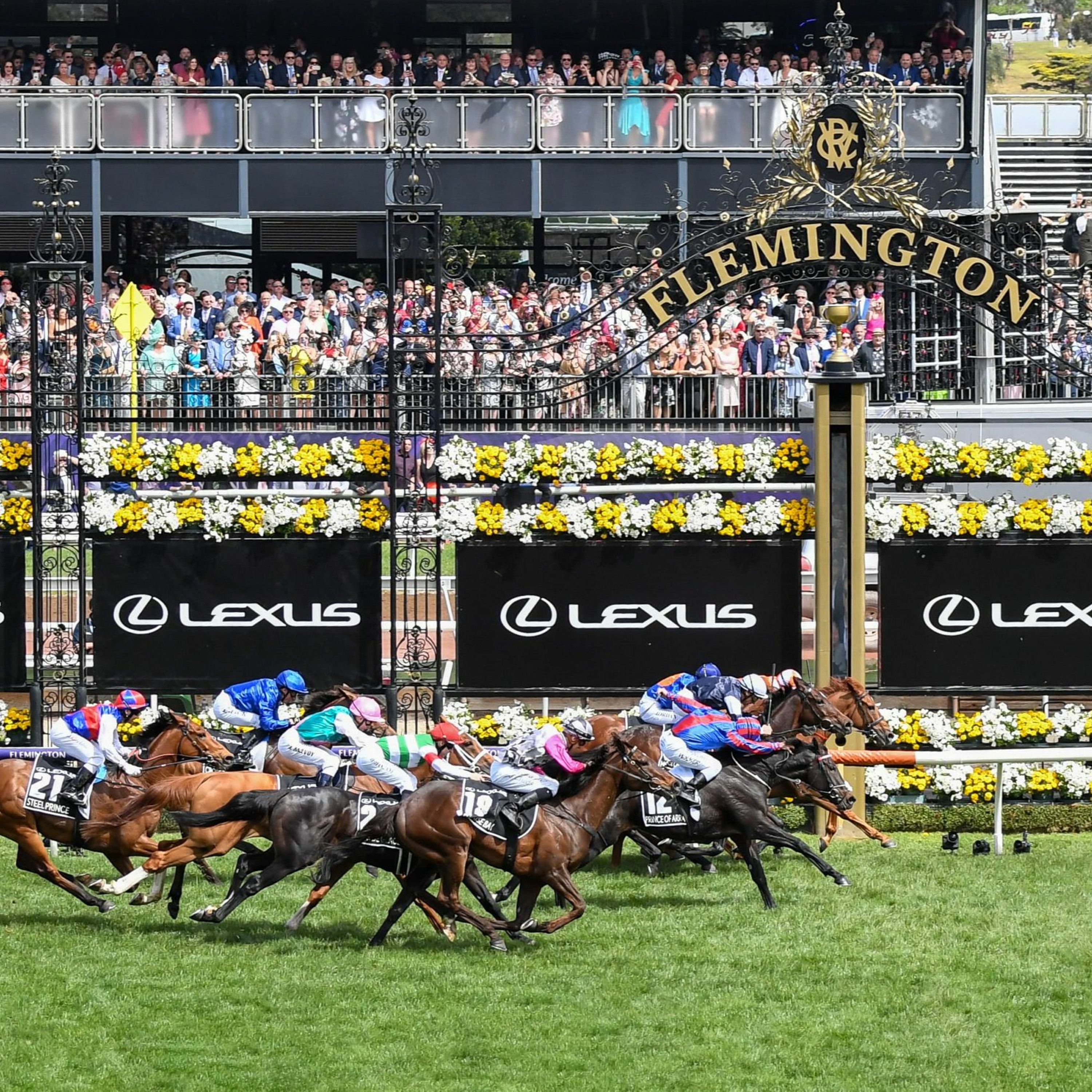 Melbourne Cup Runner By Runner Punting Preview