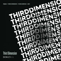 Third Dimension (Extended Mix)