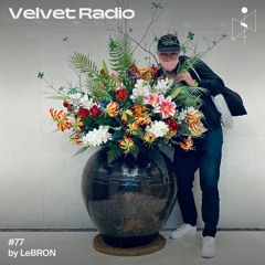 #77 / LeBRON - Neon Night Mix