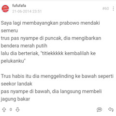 fufufafa yapping story