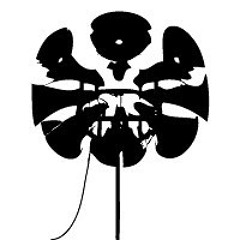Braque beats