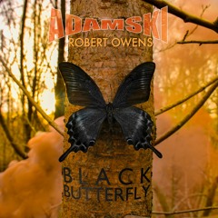 Adamski feat. Robert Owens - Black Butterfly (Captain Mustache Remix)