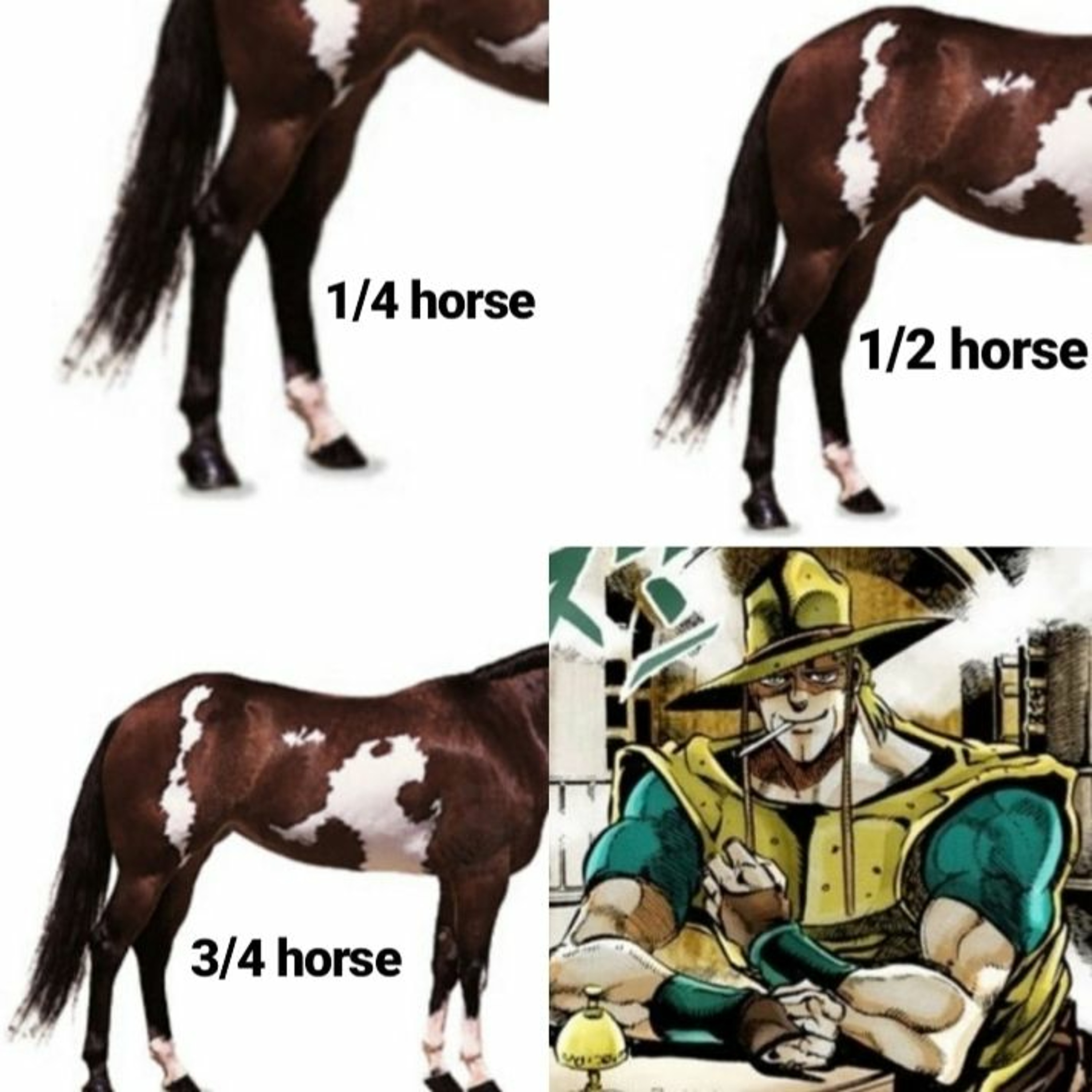 What A Beautiful Podcast! EP247 - Hol Horse's Big Day