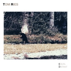 Tom Ries - P-Bear Funk (Equal / Distant Exclusive Track)