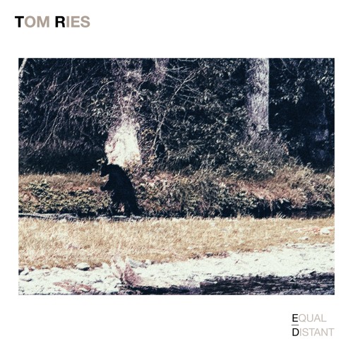 Tom Ries - P-Bear Funk (Equal / Distant Exclusive Track)