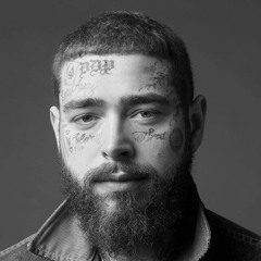 Post Malone Didn't Die For This Shit