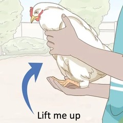 LIFT ME UP