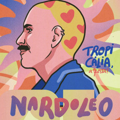 SUNSET NA TROPICÁLIA, A FESTA