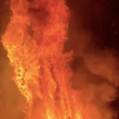 Tonight Is The Night