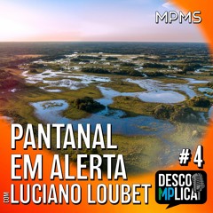 Pantanal em alerta