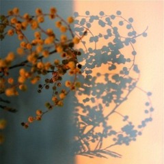 تكبيرات عيد الفطر من مسجد الحسين بالقاهرة 1981