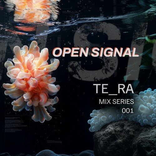 TE_RA at Open Signal (13-12-24)