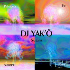 Les 4 Saisons de Vivaldi