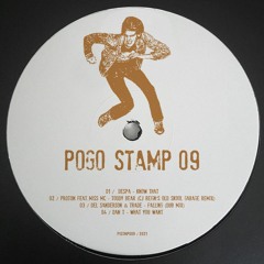 DAN T - What You Want (Original Mix) PGSTMP009 ll POGO HOUSE