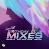 Sam Feldt & Yves V - One Day (feat. ROZES) [Club Mix]