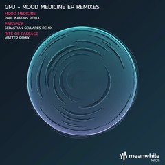 PREMIERE: GMJ - Mood Medicine (Paul Kardos Remix) [Meanwhile Recordings]