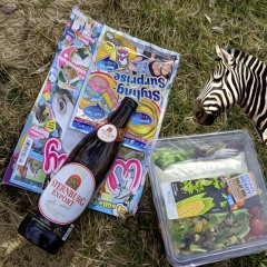 ich.finde.zebras.süß (bier is gut für jeden)