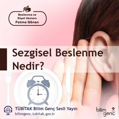 46- Sezgisel Beslenme Nedir?