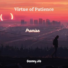 Promise - Gooney Jib