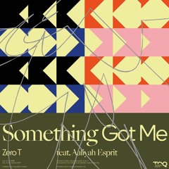Zero T - Something Got Me (feat. Aaliyah Esprit)