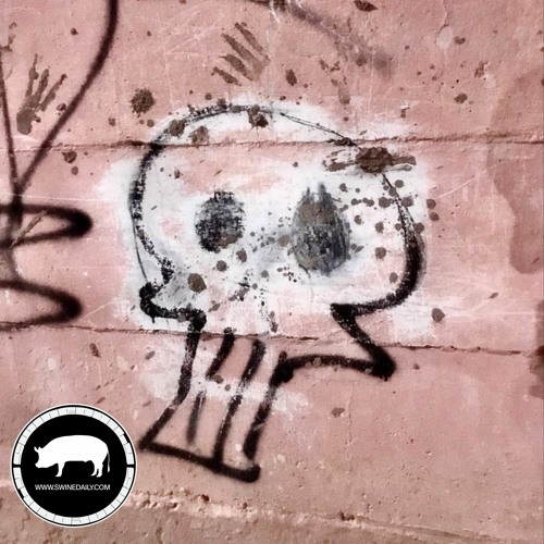 SWINE GUEST MIX SELECTION