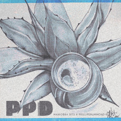 PPD (Permiso, Perdon, Disculpe) feat Maniobra Bits