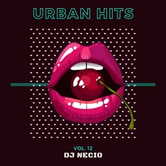 Dj Necio - Urban Hits 12