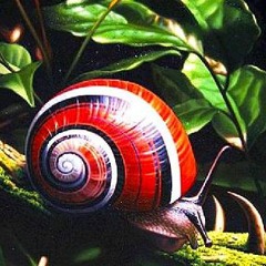 Snailed it