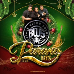 DJ HYPER /BLACKWIDOWSOUNDS CHRISTMAS PARANG MIX 2024