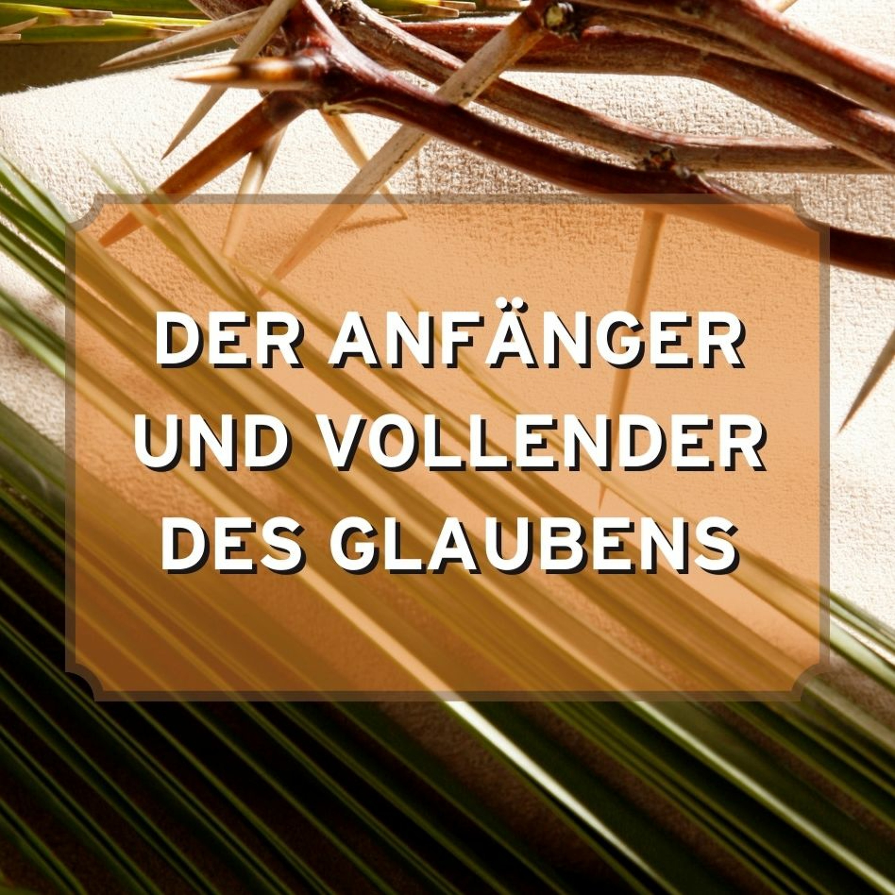 Vineyard Linz - Messages