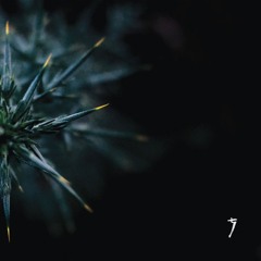 PREMIERE: Refracted - Initiation [Titrate]