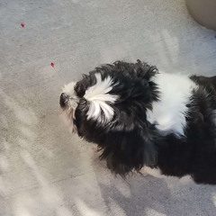 if i had a title in mind i would put it right here in this box cover