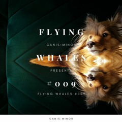 Flying Whales