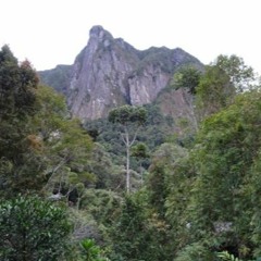 Marojejy National Park, MADAGASCAR