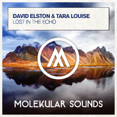 David Elston & Tara Louise - Lost In The Echo