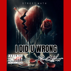I Did U Wrong