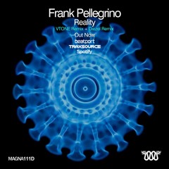 Frank Pellegrino - Reality (VTONE Remix)