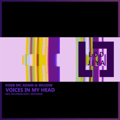 Voices in My Head (Original Mix)