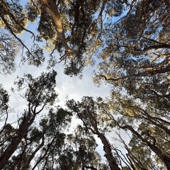 Stay with me from Kiki