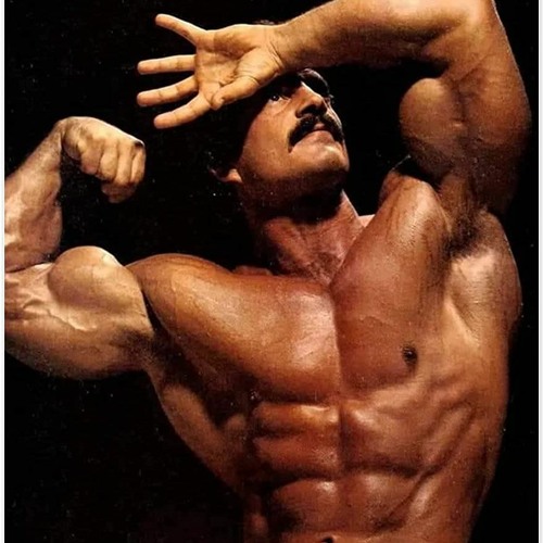 Stream Griff Listen to Orchestra Playlist playlist online for free on