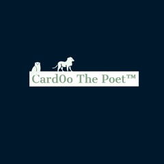 Value | Card0o The Poet |(prod. by RXLLIN)