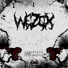 WEZOX - Cybernetic Sublimation